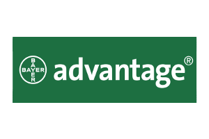 advantage-prodotti-cuneo